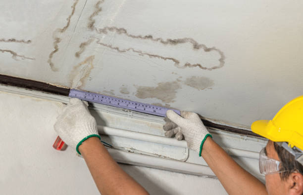 Reliable Basement Water Removal contractor in Toronto, OH by Water Damage Irwin